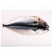 Hwanggi-Hamcho salted mackerel