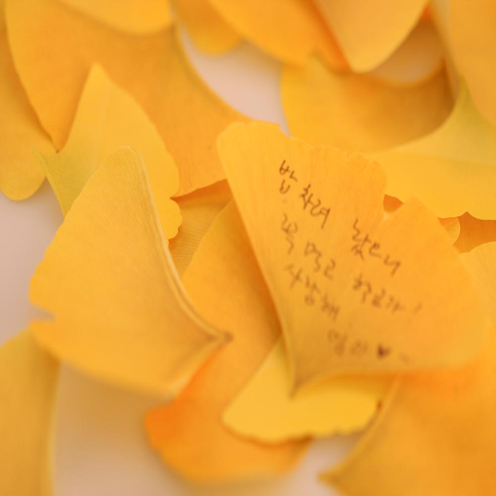 Sticky Leaf - Ginkgo