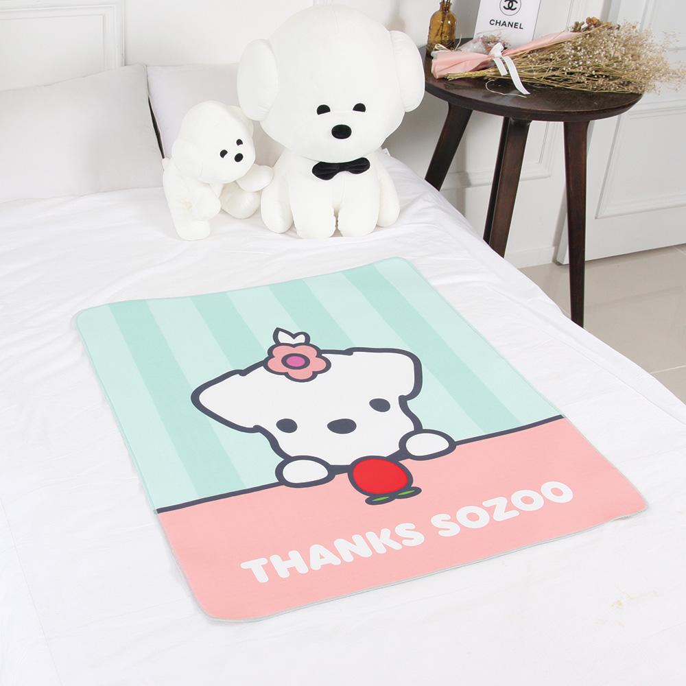 Pogmang Baby waterproof blanket