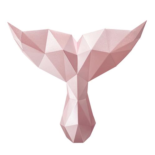 Whale - Paper interior