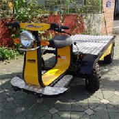 Electric Vehicle(SJE 3100)