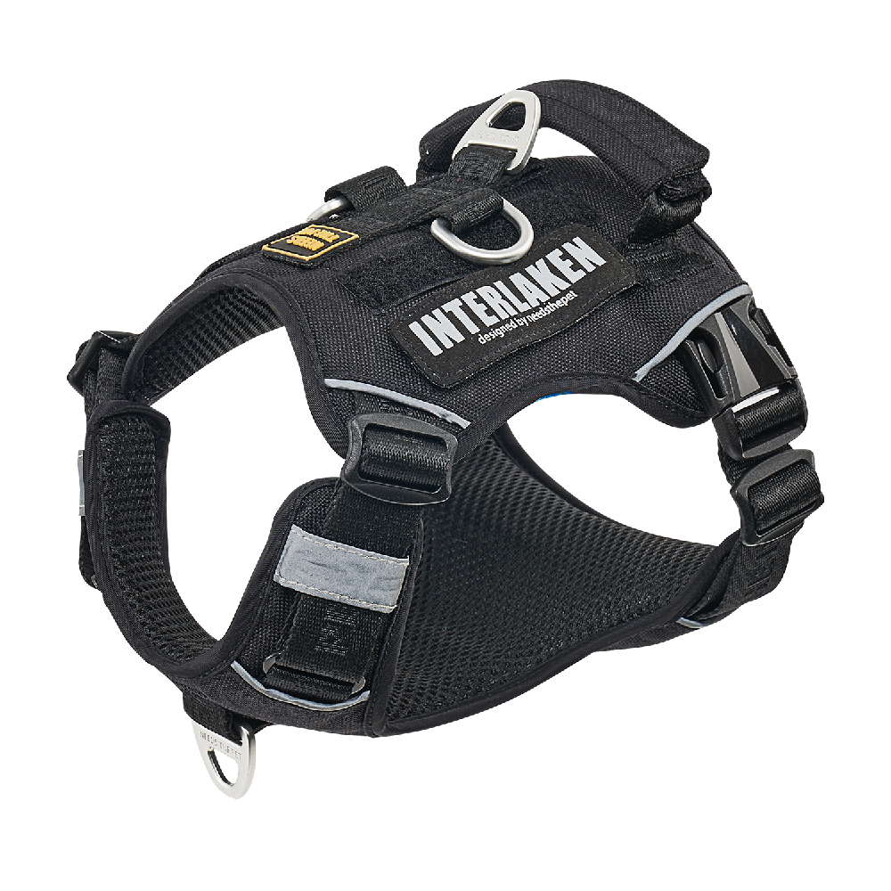 INTERLAKEN CUSTOM DOG HARNESS