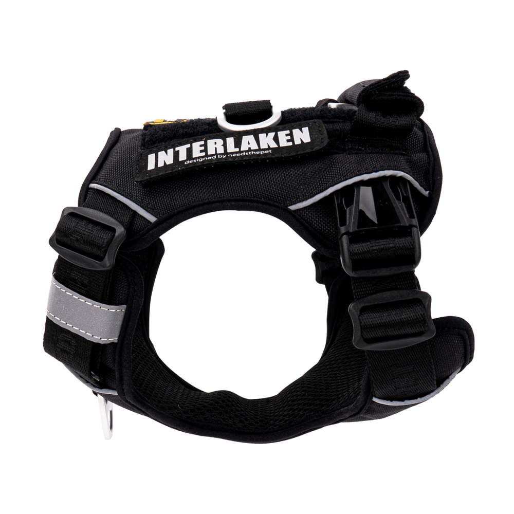 INTERLAKEN CUSTOM DOG HARNESS