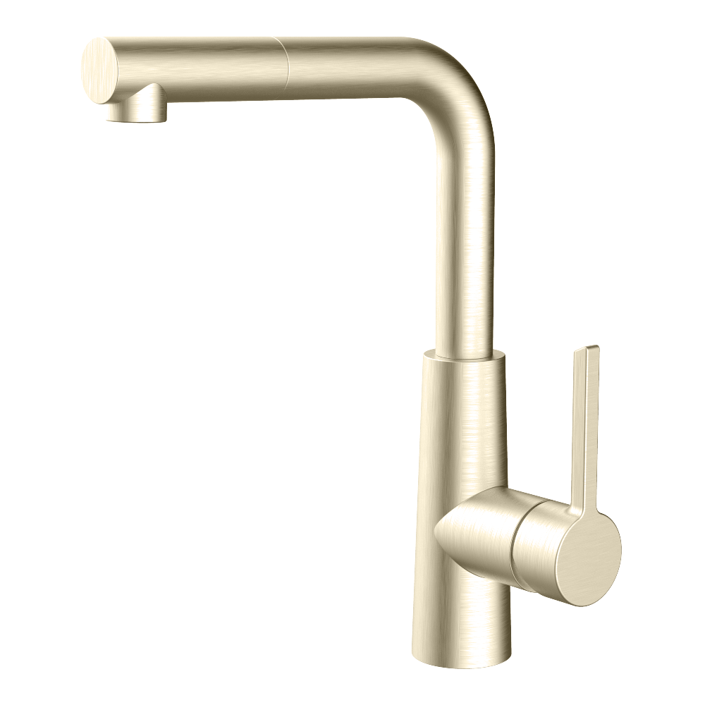 Switch shower head
