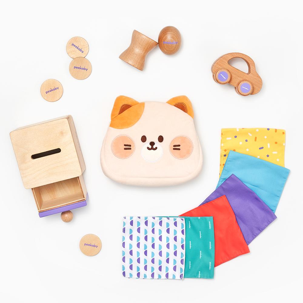 Peekaby Play Kit (11-12 months): Stage-based Montessori Toy Set for Child Development