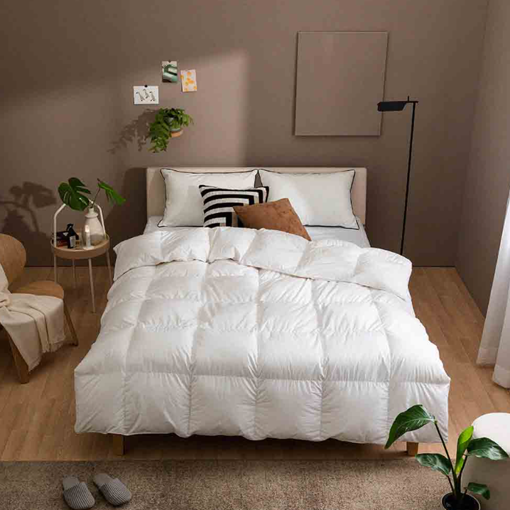 zero o'clock goose down Comforter (signature model)