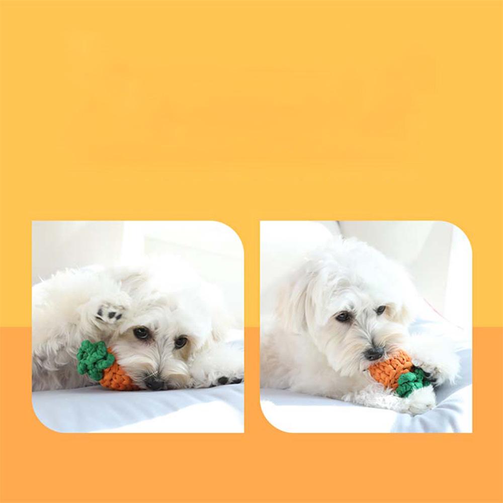 Do you like me? ~ Carrot catch toy