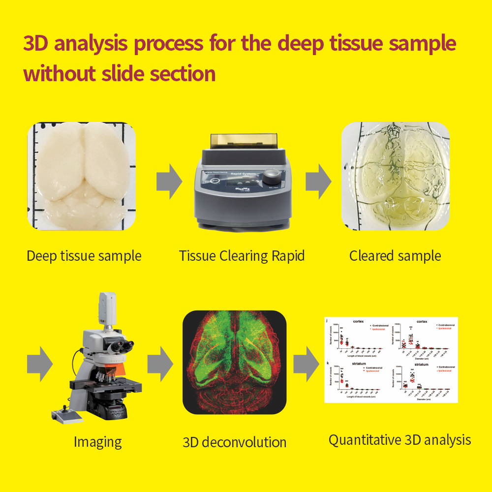 Binaree Tissue Clearing Rapid Mounting Solution
