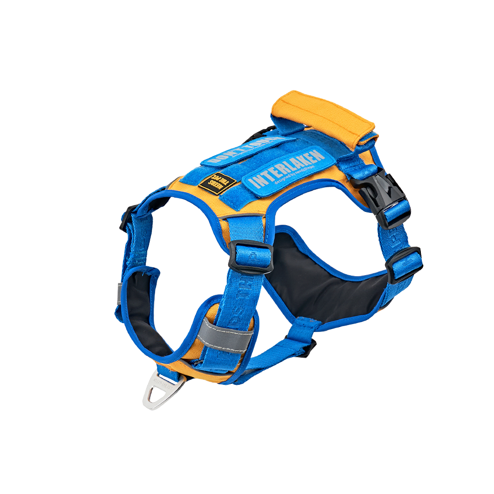 INTERLAKEN SLIM 2.0 HARNESS