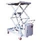 full image Electric Table Lift (ME-707B)