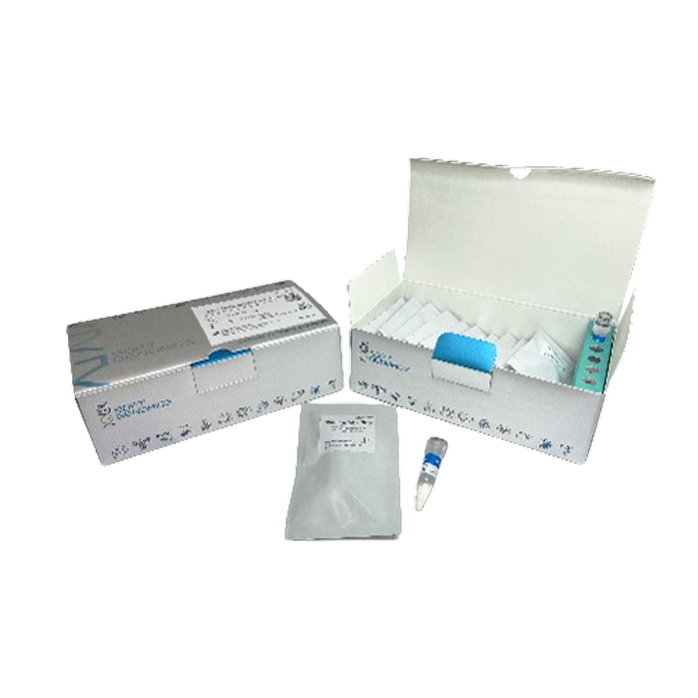 Artistics™ Influenza A/B Colorimetric Assay Kit