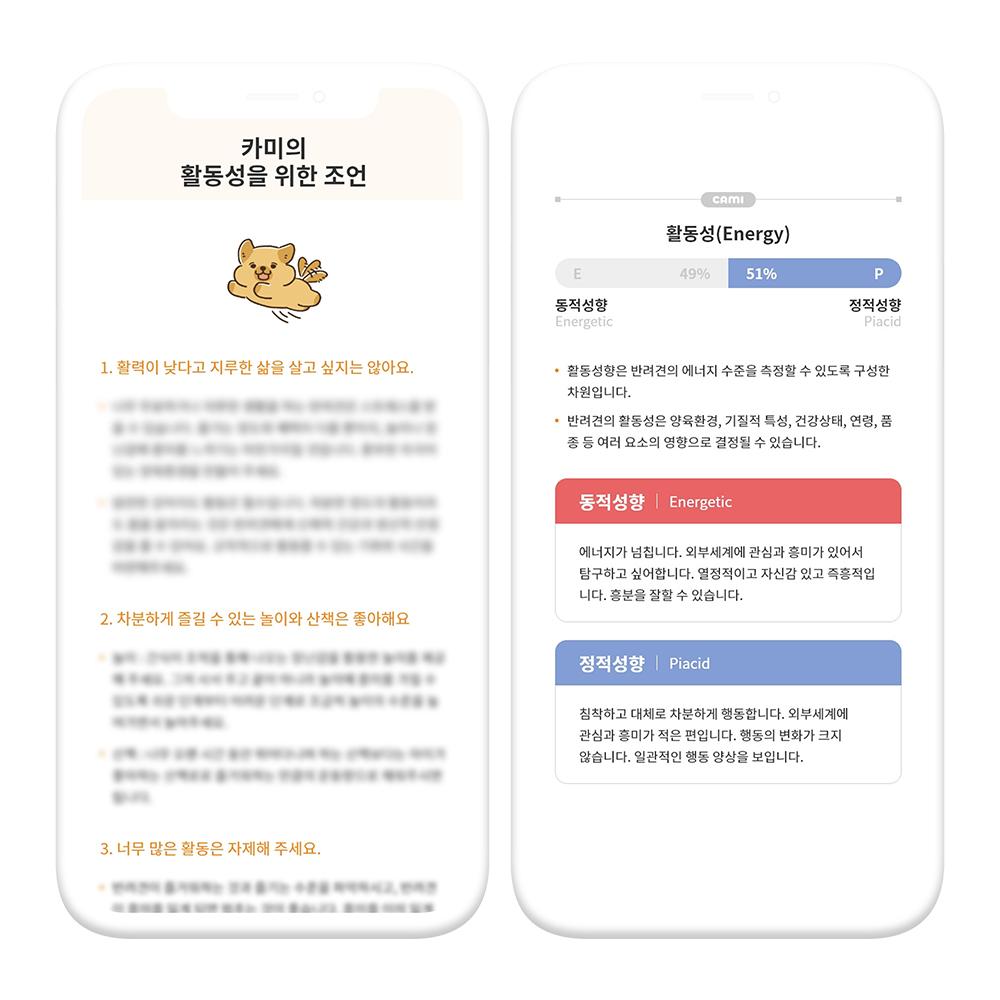 Dog Character Style Inventory