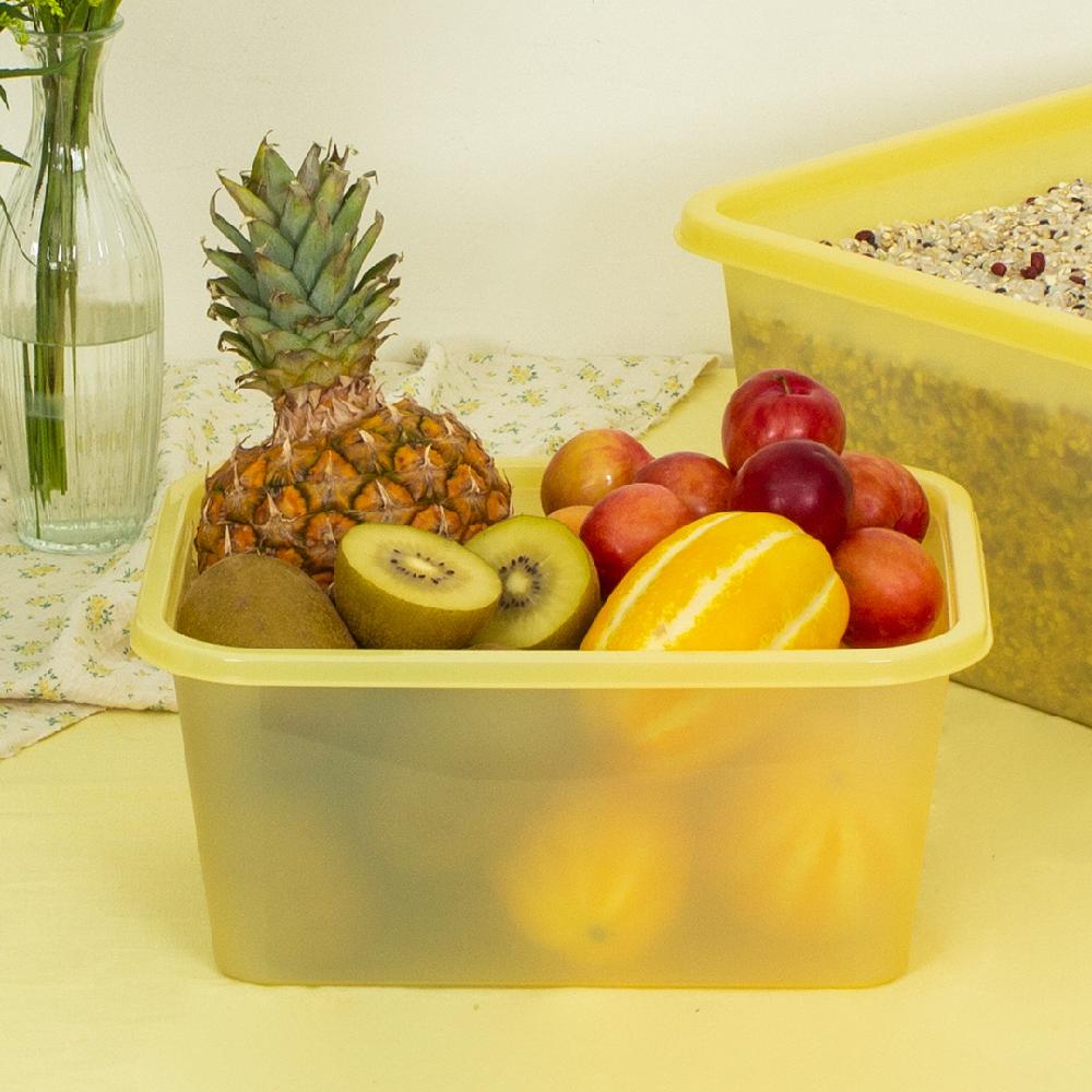 Yoojunglab DR.Lock Big Food Storage Container box