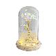 full image LED flower road Aurora rose glass dome mood light lover's gift