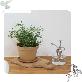 detail image1 Freefactory Flower Plant Pot with Drainage Holes and Saucer Tray(Medium/Ivory)